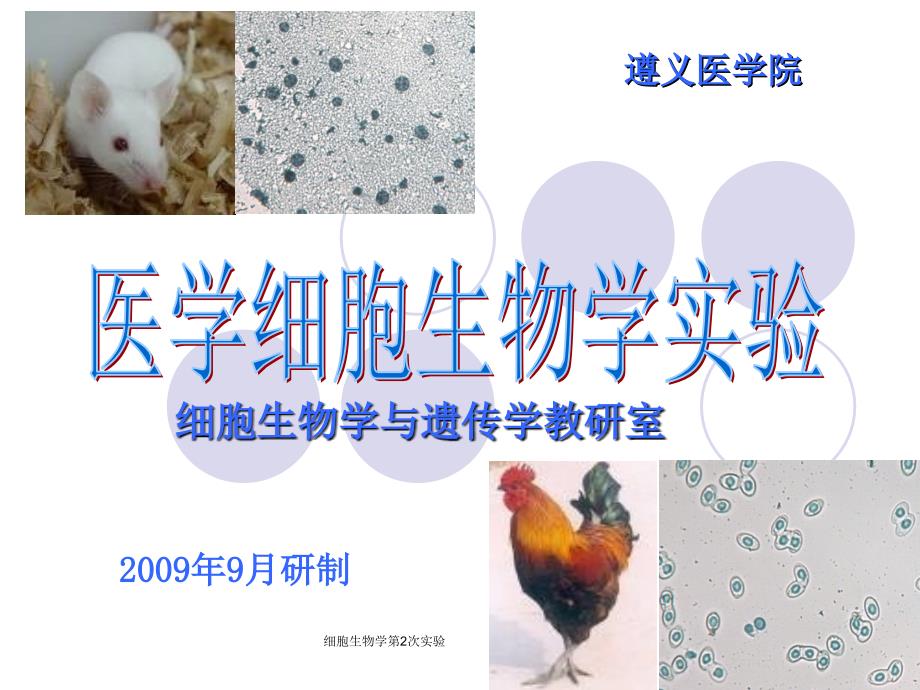 细胞生物学第2次实验课件_第1页