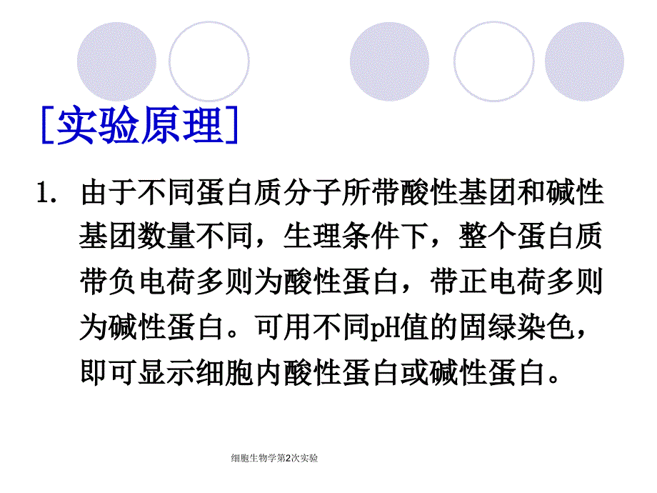 细胞生物学第2次实验课件_第4页