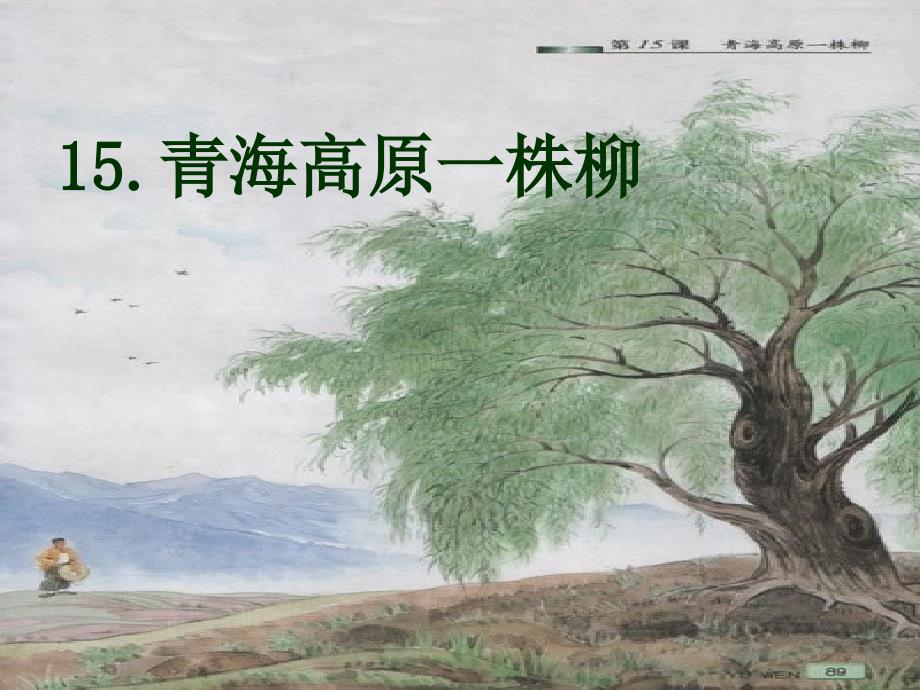 青藏高原一株柳课件_第1页