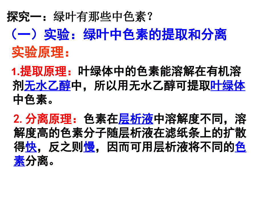 色素吸收什么光课件_第3页