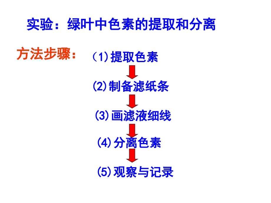 色素吸收什么光课件_第5页