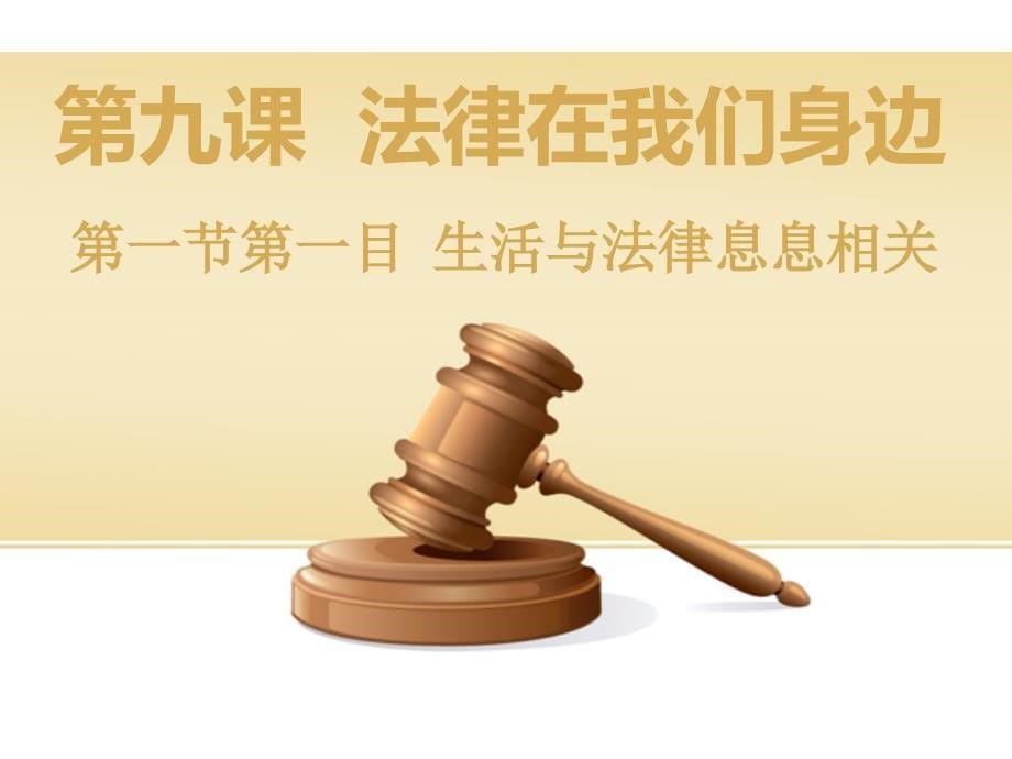 人教版道德与法治七年级下册9.1.1生活与法律息息相关课件共44张PPT_第5页