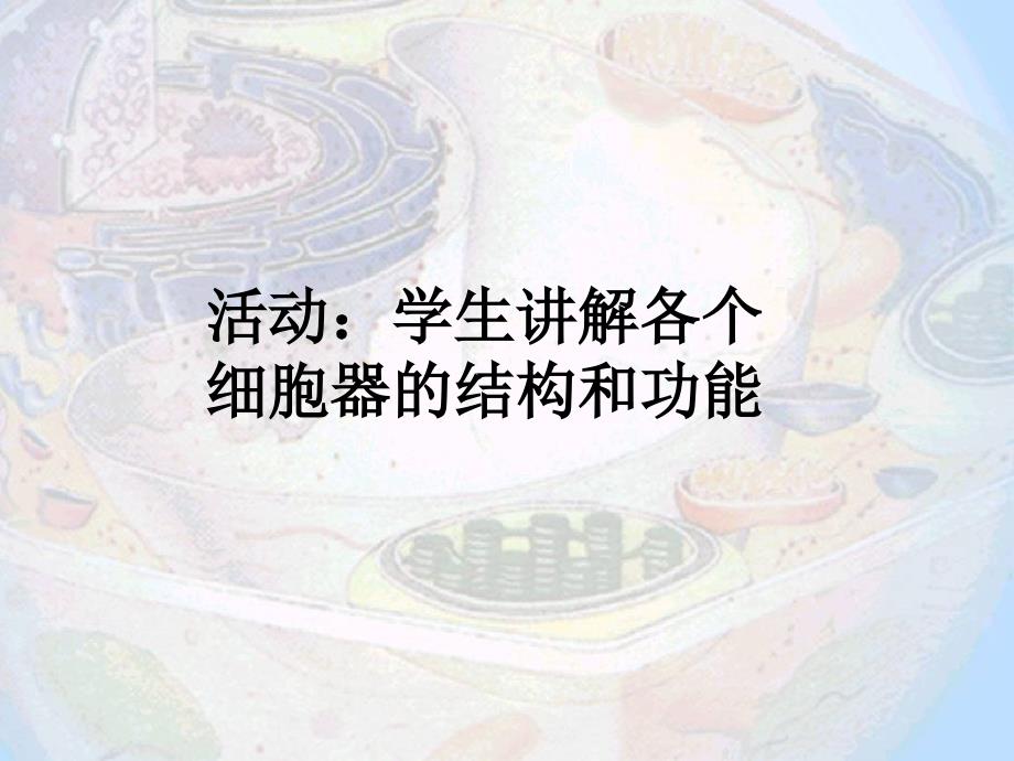 细胞世界探微三例PPT_第4页