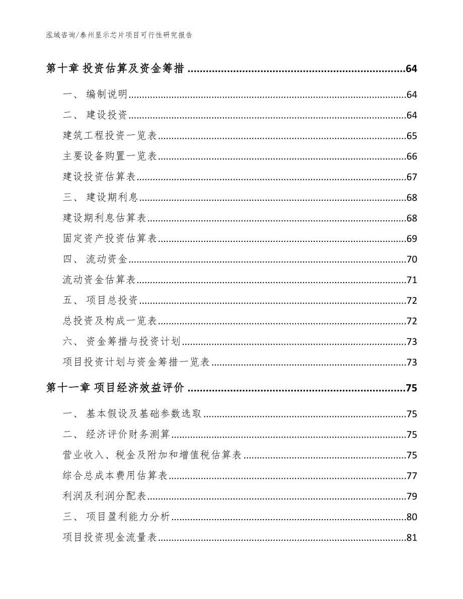 泰州显示芯片项目可行性研究报告（模板范文）_第5页