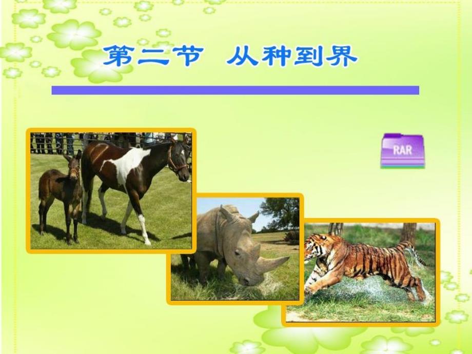 《从种到界》PPT课件.ppt_第1页