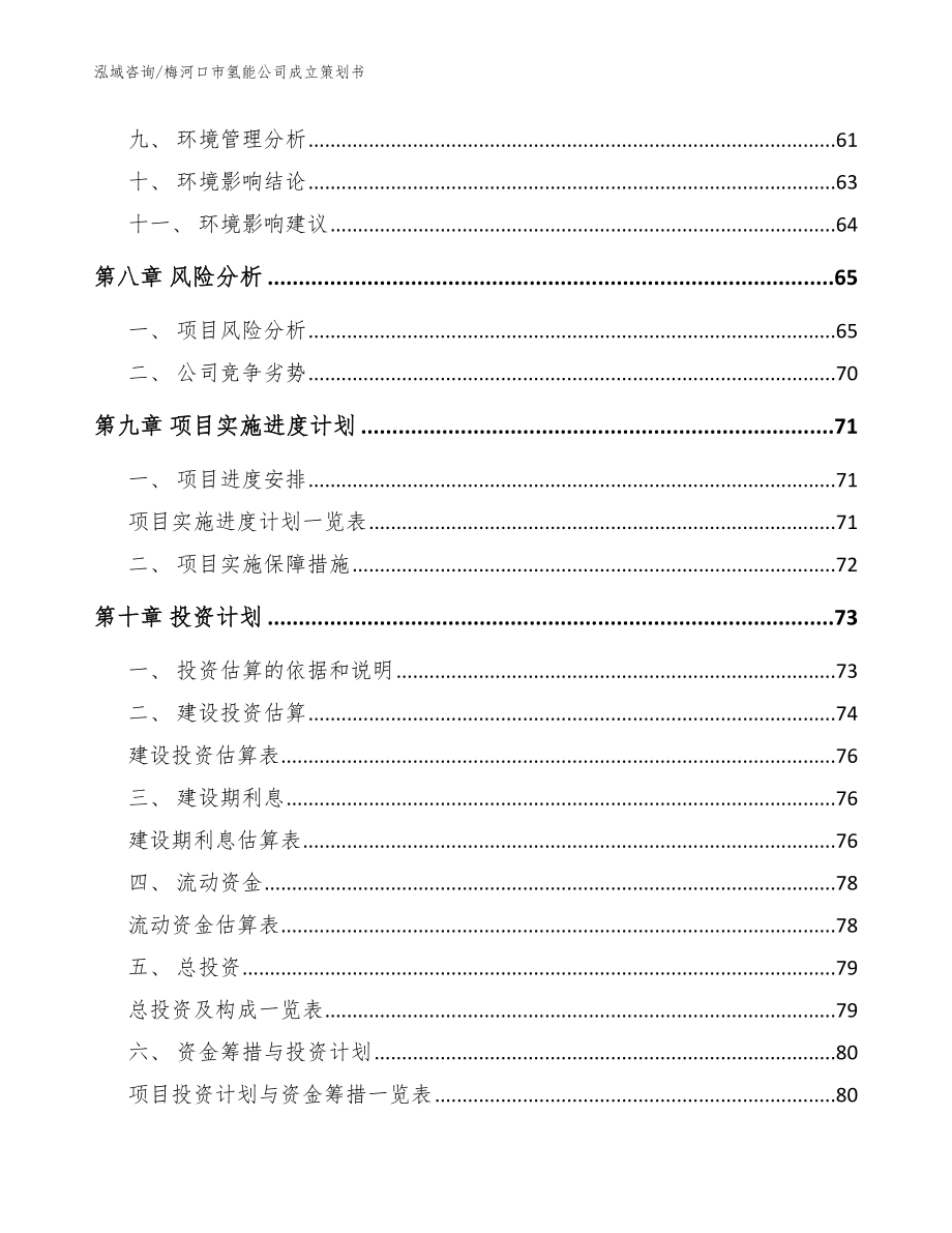 梅河口市氢能公司成立策划书【模板】_第4页