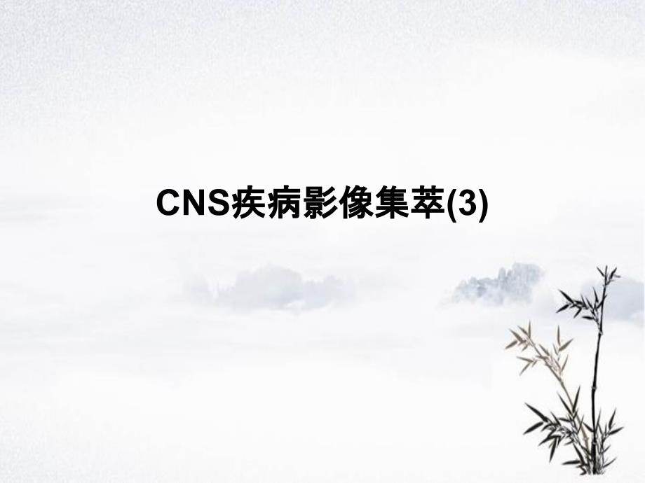 CNS疾病MRI诊断影像集萃三_第2页