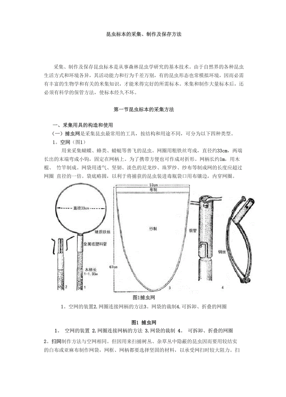 昆虫标本制作_第1页