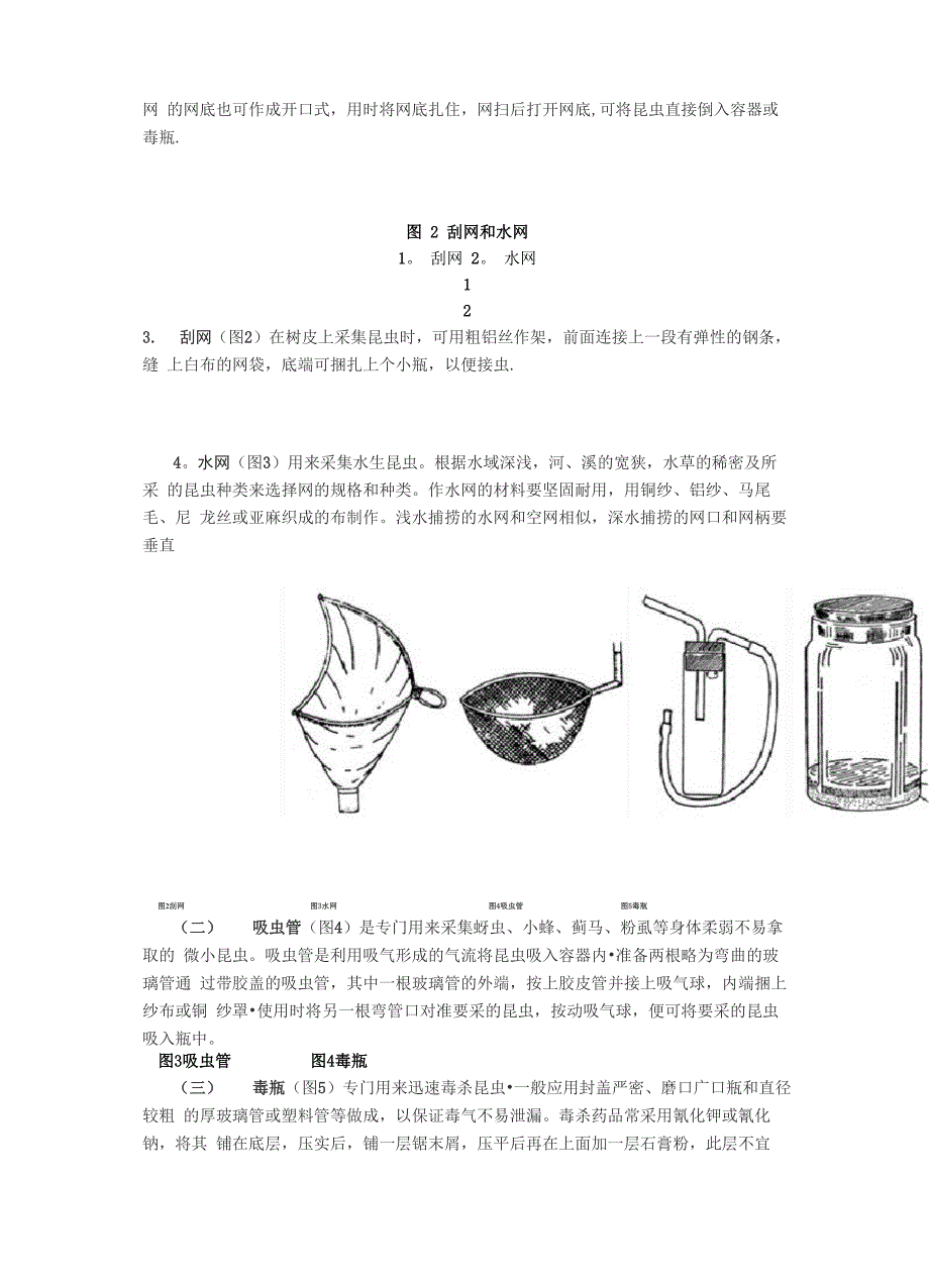 昆虫标本制作_第2页