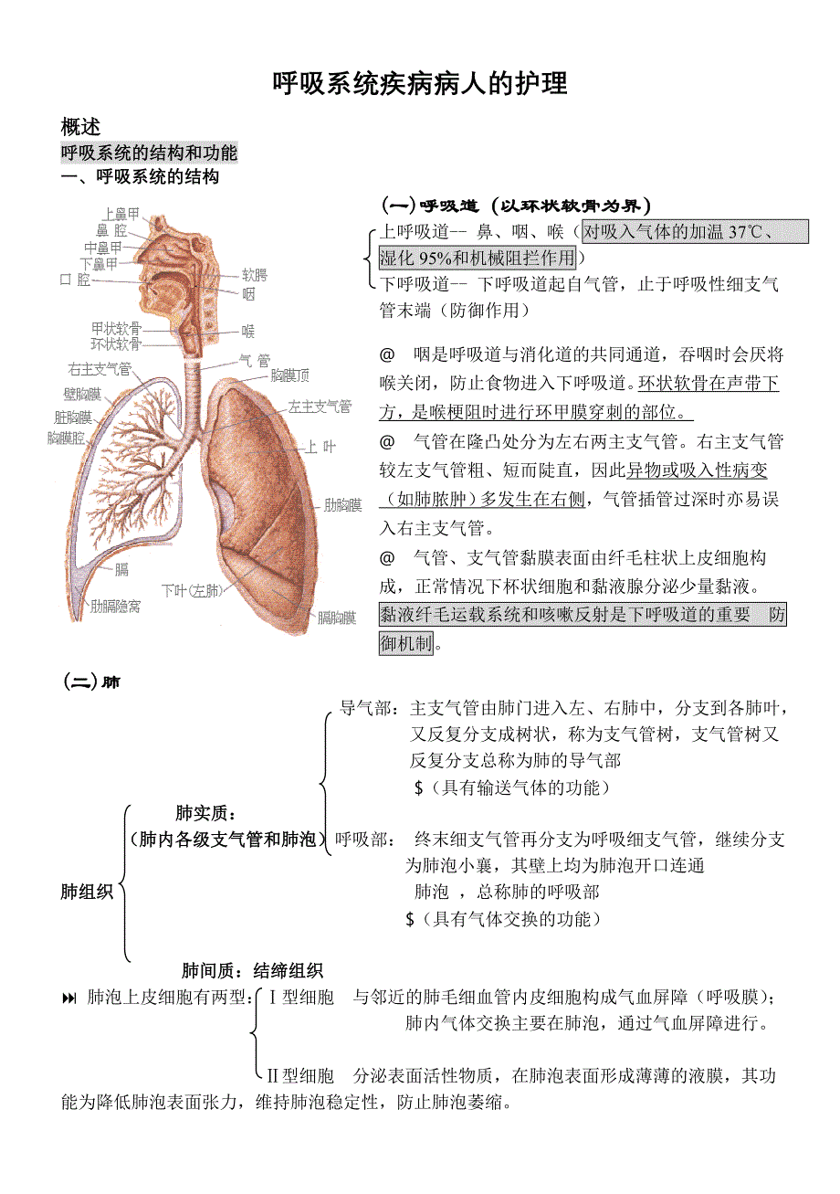 内科护理学笔记呼吸系统_第1页