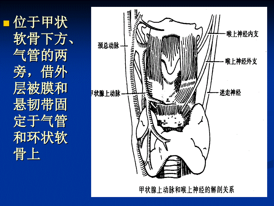 《甲状腺疾病》PPT课件_第3页