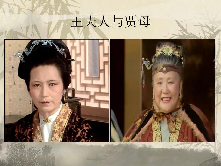 红楼梦王夫人分析_第4页