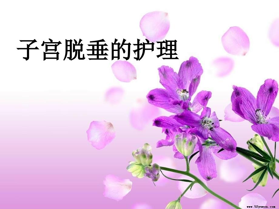 子宫脱垂的护理_第1页