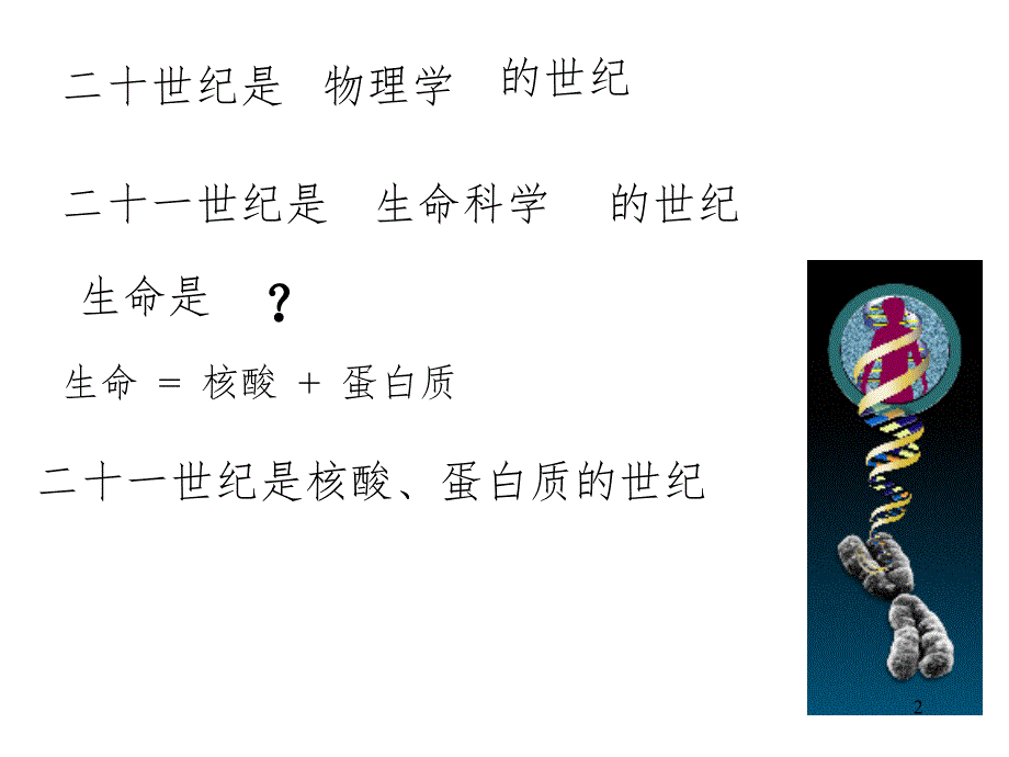 核酸结构PPT课件_第2页