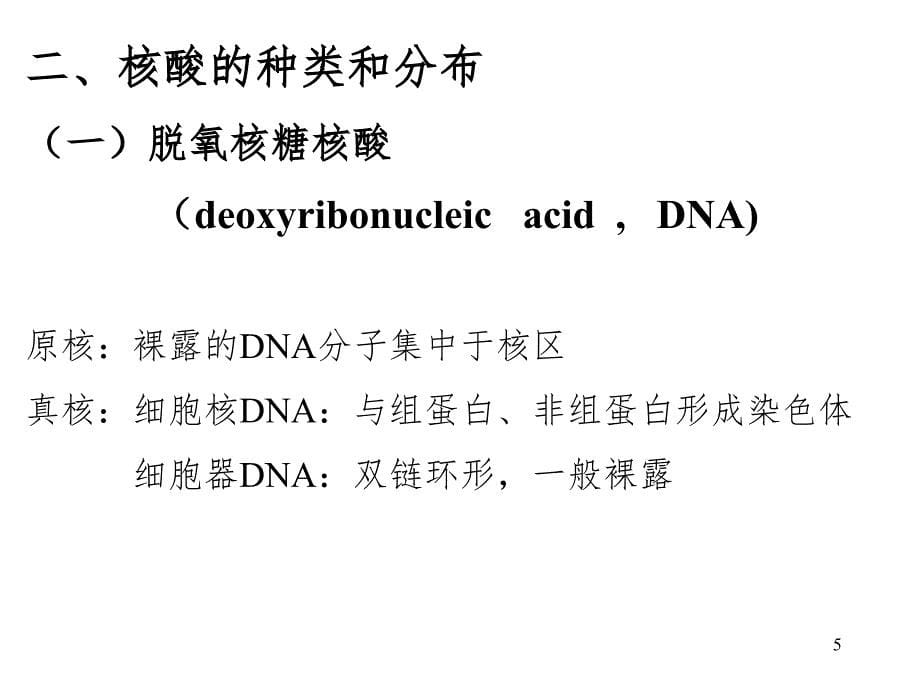 核酸结构PPT课件_第5页