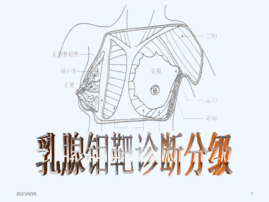 乳腺钼靶诊断分级标准_第1页