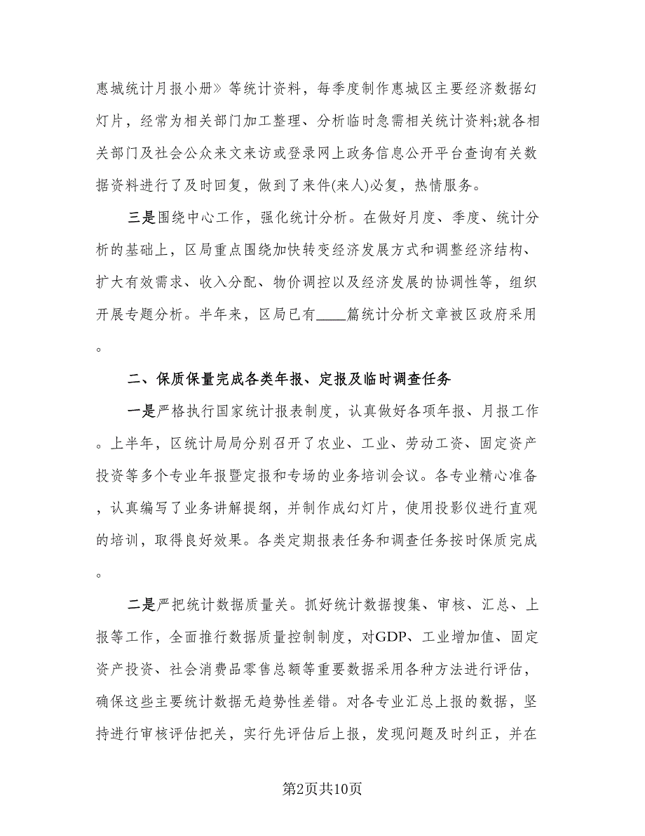 数据统计员个人工作自我总结标准模板（2篇）.doc_第2页