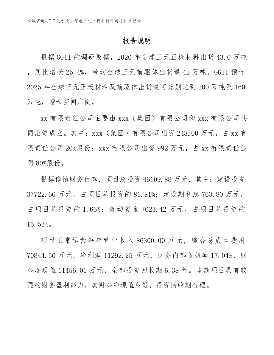 广东关于成立锂电三元正极材料公司可行性报告_范文_第2页