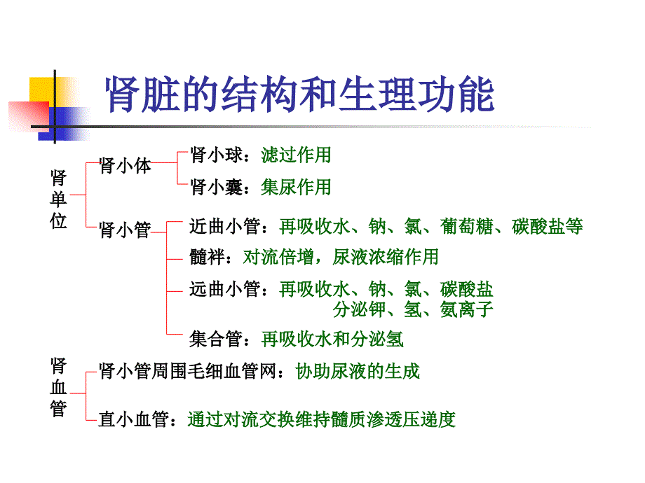 肝肾功能障碍的评定.ppt_第1页