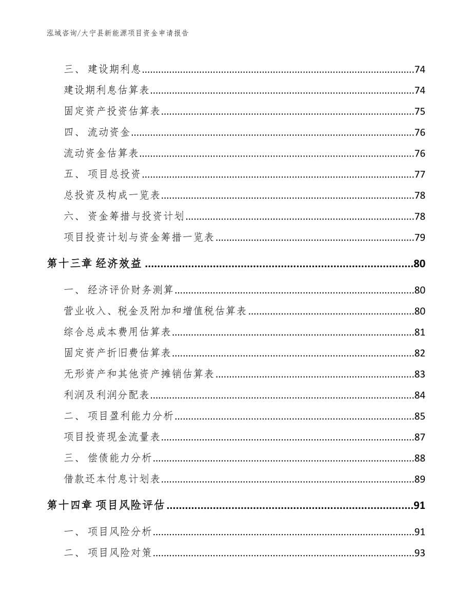 大宁县新能源项目资金申请报告参考模板_第5页