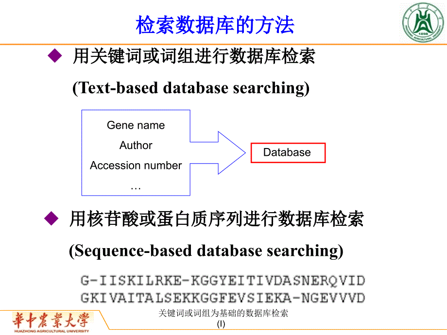 关键词或词组为基础的数据库检索I课件_第2页