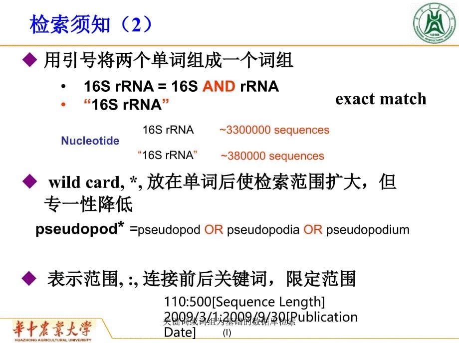 关键词或词组为基础的数据库检索I课件_第5页