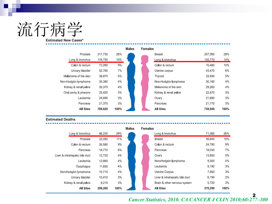 肺癌病理分类进展与临床ppt课件_第2页