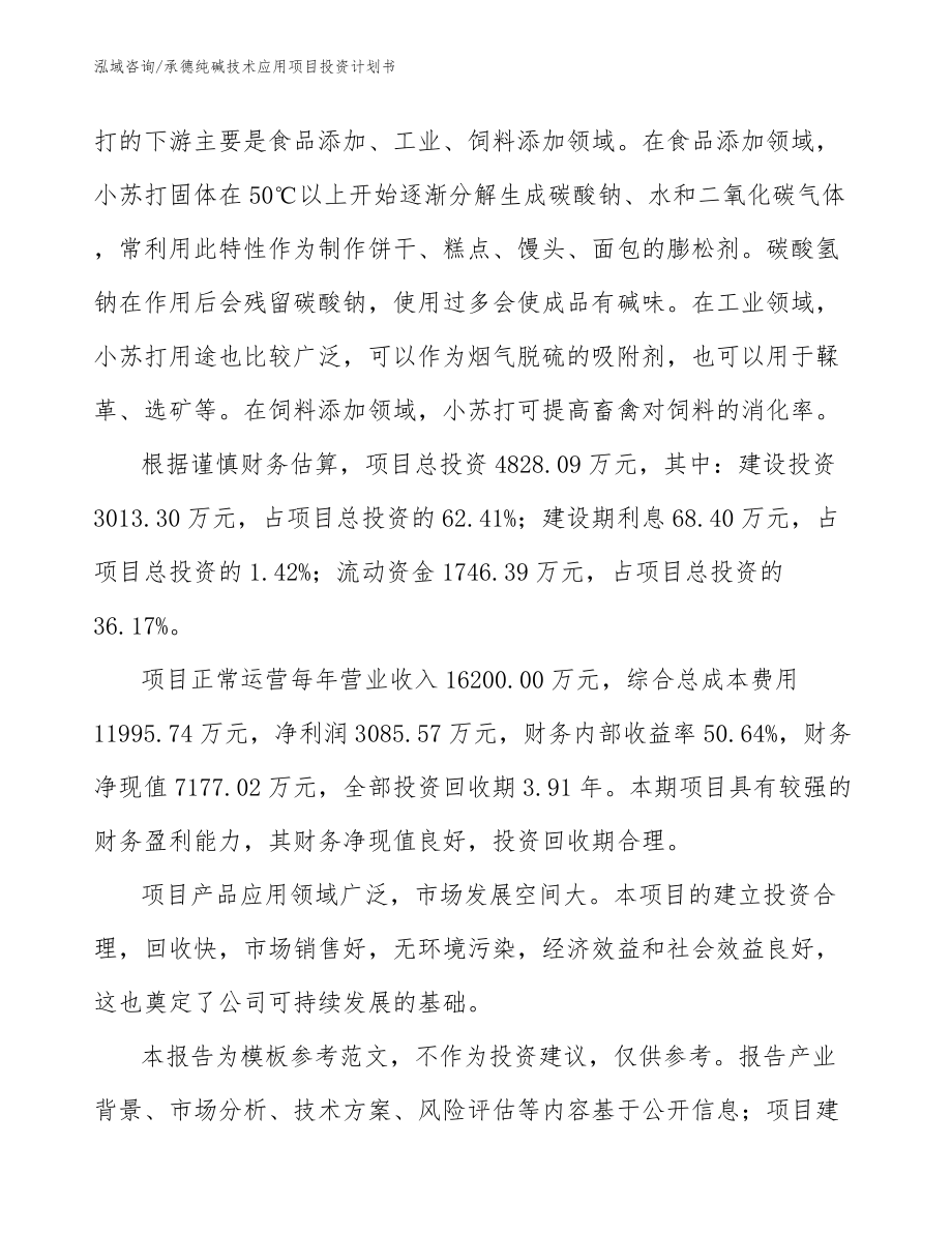 承德纯碱技术应用项目投资计划书模板范本_第5页