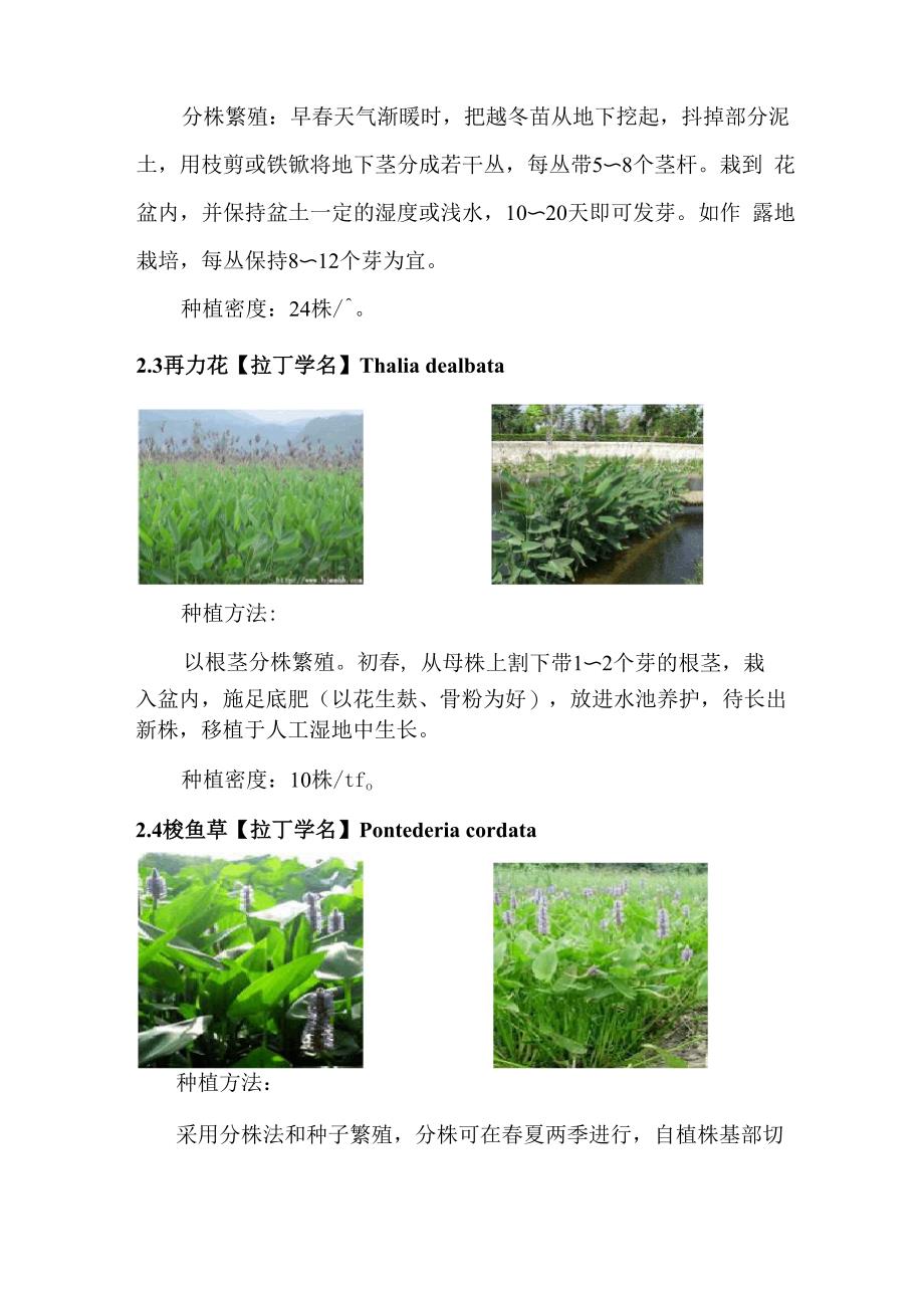 人工湿地水生植物配置以与种植方法、种植间距等_第3页