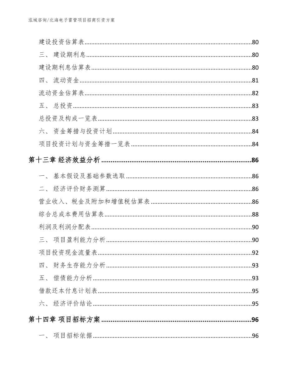 北海电子雷管项目招商引资方案参考范文_第5页