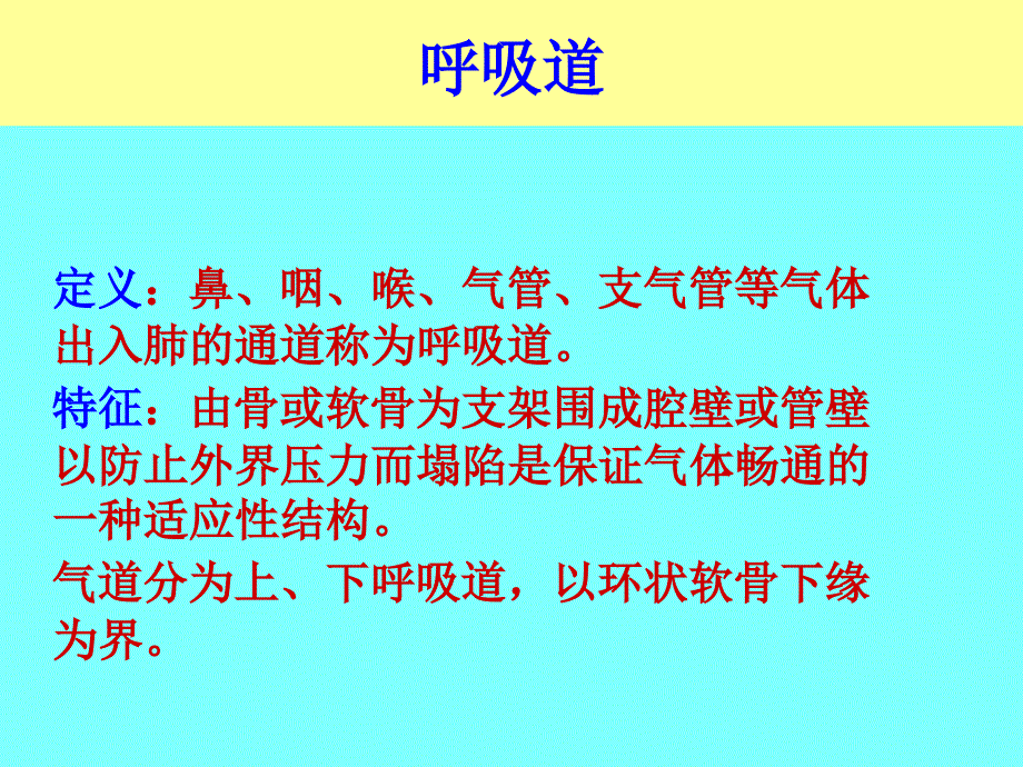 呼吸道的生理功能特点ppt课件_第4页