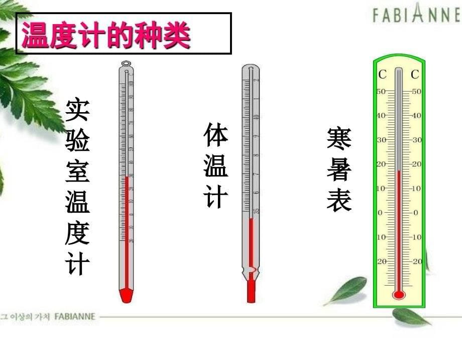 温度计演示文稿1_第5页