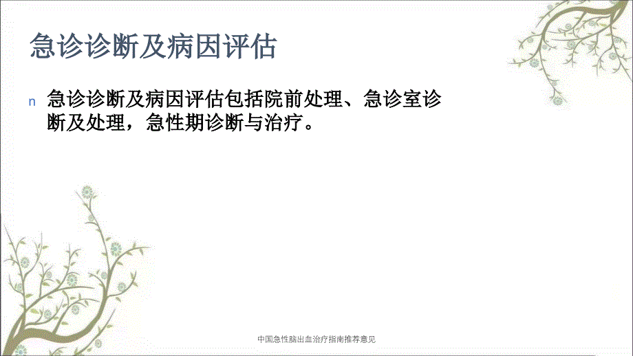 中国急性脑出血治疗指南推荐意见_第2页