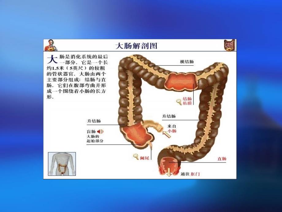 直肠癌病人的护理ppt课件_第2页