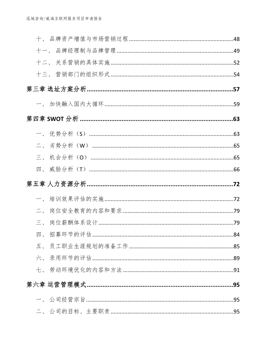 威海互联网服务项目申请报告_参考范文_第2页