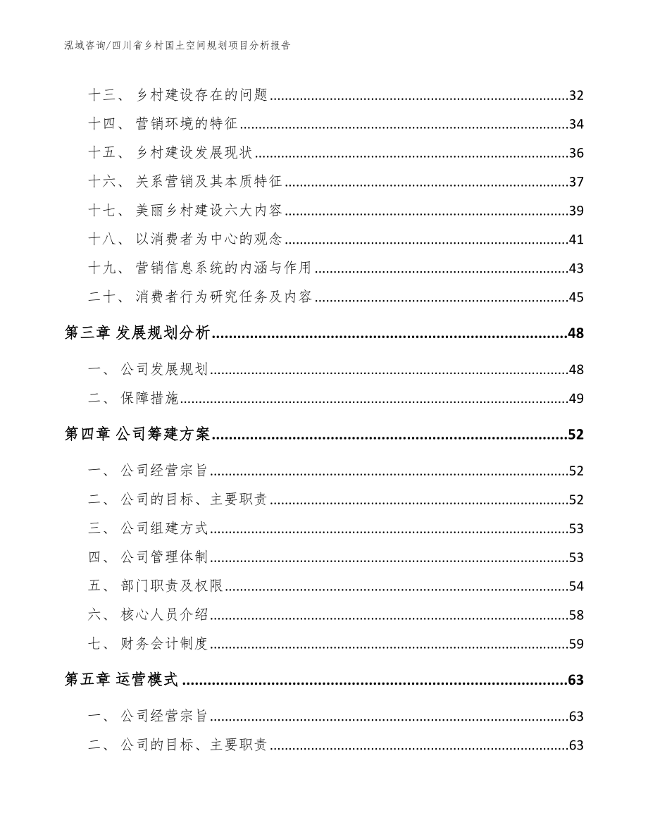 四川省乡村国土空间规划项目分析报告_模板范本_第4页