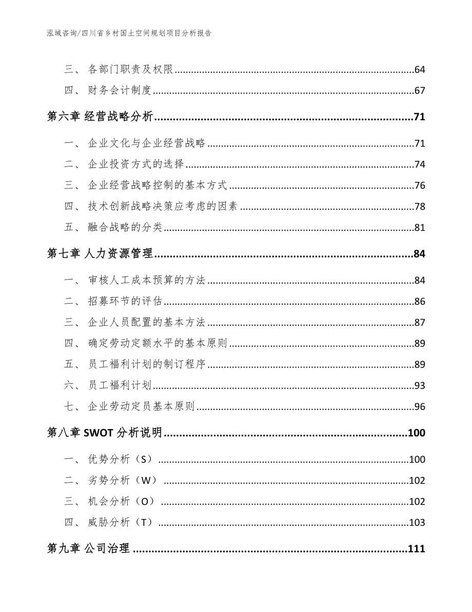 四川省乡村国土空间规划项目分析报告_模板范本_第5页