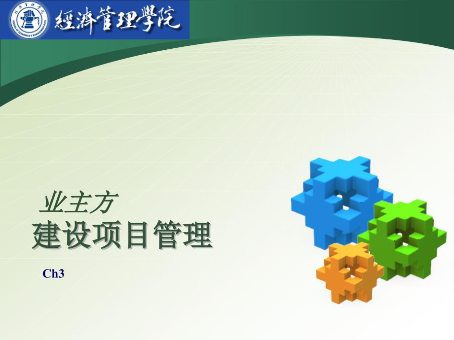 业主方项目管理课件_第1页