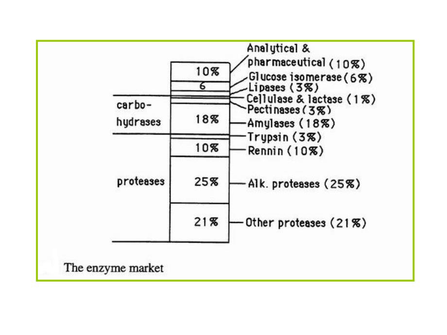 生物工艺学教学课件：Chapter 13 Industrial Use of Enzymes_第2页