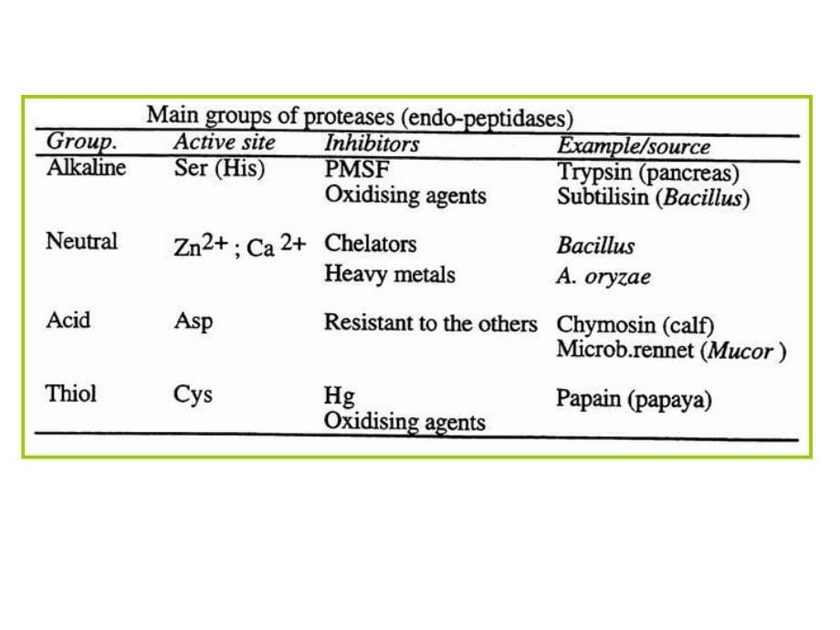 生物工艺学教学课件：Chapter 13 Industrial Use of Enzymes_第5页