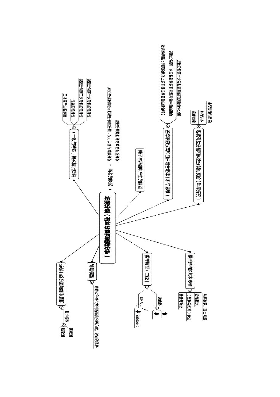 细胞中的染色体行为===学案.doc_第4页