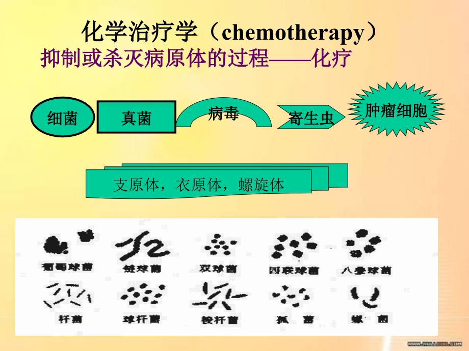 抗微生物药物药理学总论_第4页