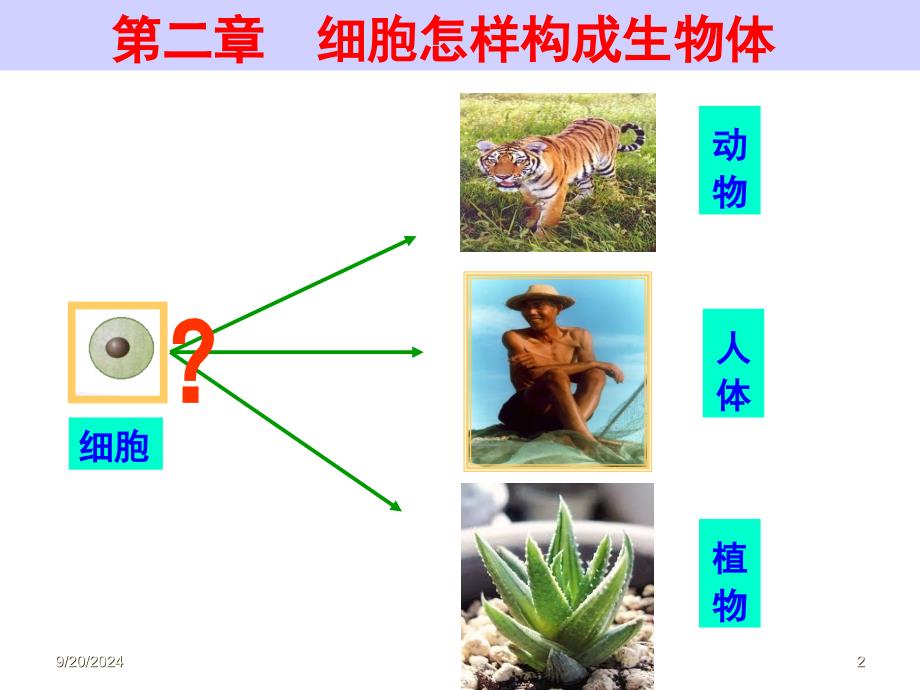 七年级生物第二章第二节《动物体的结构层次》_第2页