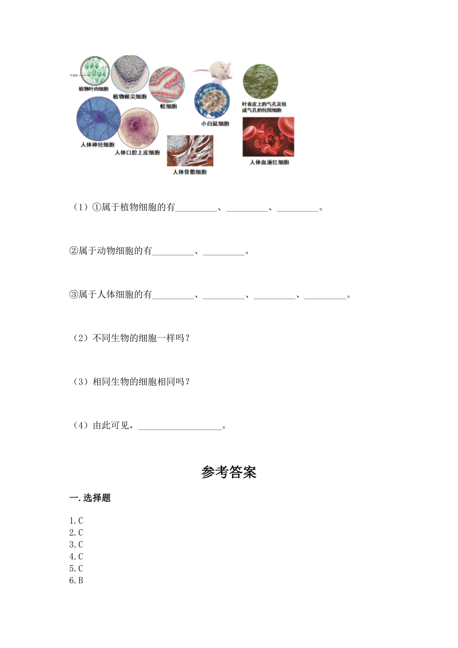 教科版科学一年级上册第二单元《比较与测量》测试卷带答案【综合卷】.docx_第4页