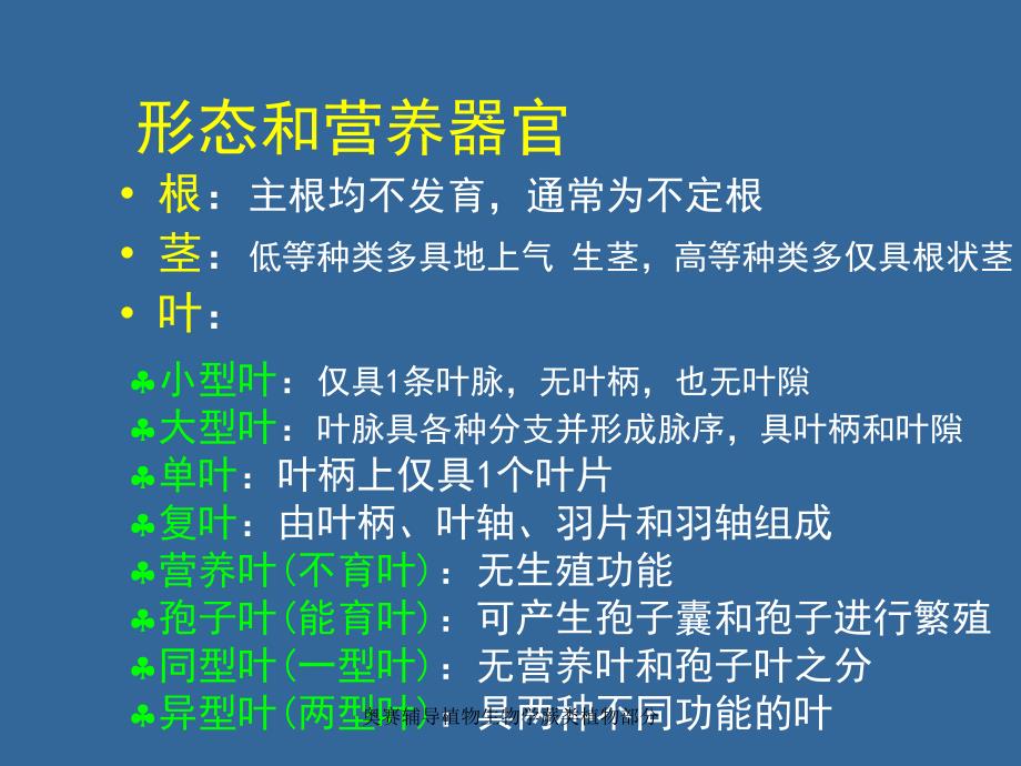 奥赛辅导植物生物学蕨类植物部分课件_第3页