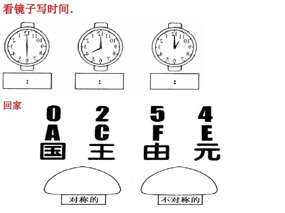 观察物体整理复习_第5页