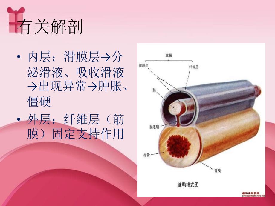 针刀医学上肢部分的治疗_第3页