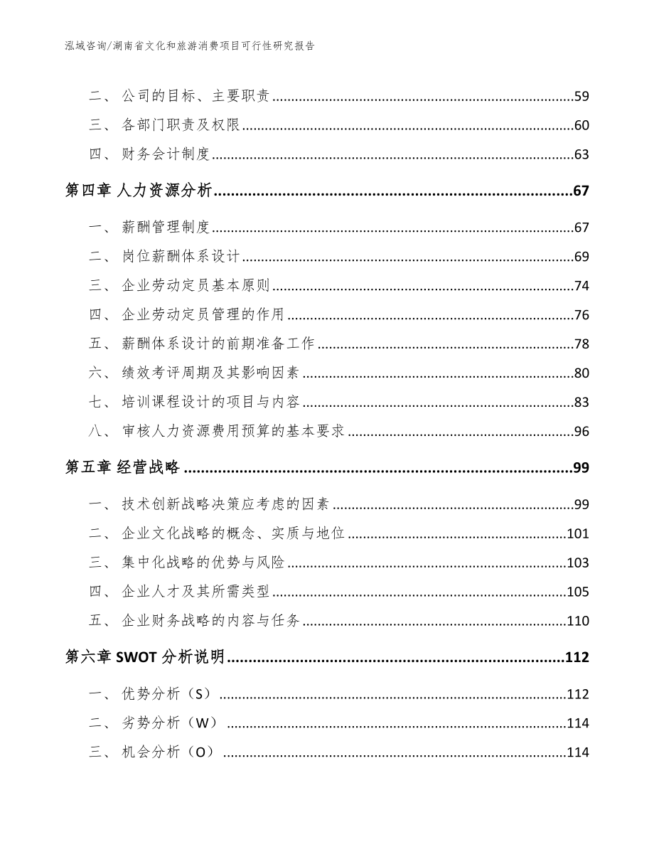 湖南省文化和旅游消费项目可行性研究报告_第3页