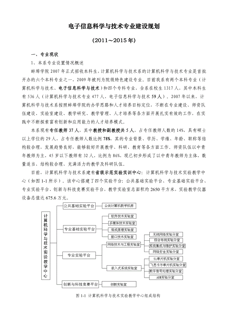 电子信息科学与技术专业-专业建设规划_第1页