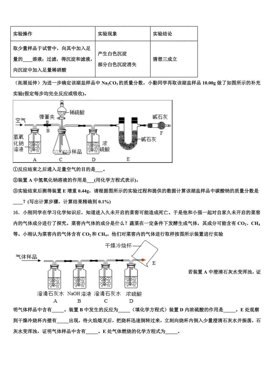 南开中学初2023年中考化学模拟试题（含解析）.doc_第5页